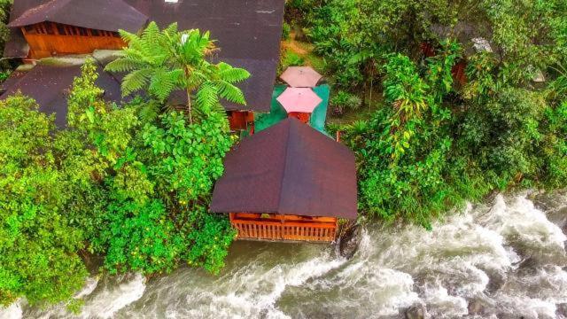 Mindo Garden Lodge And Wildlife Reserve Exterior foto