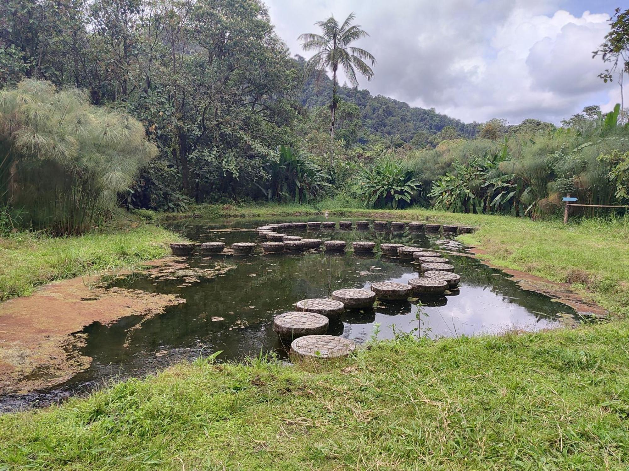Mindo Garden Lodge And Wildlife Reserve Exterior foto