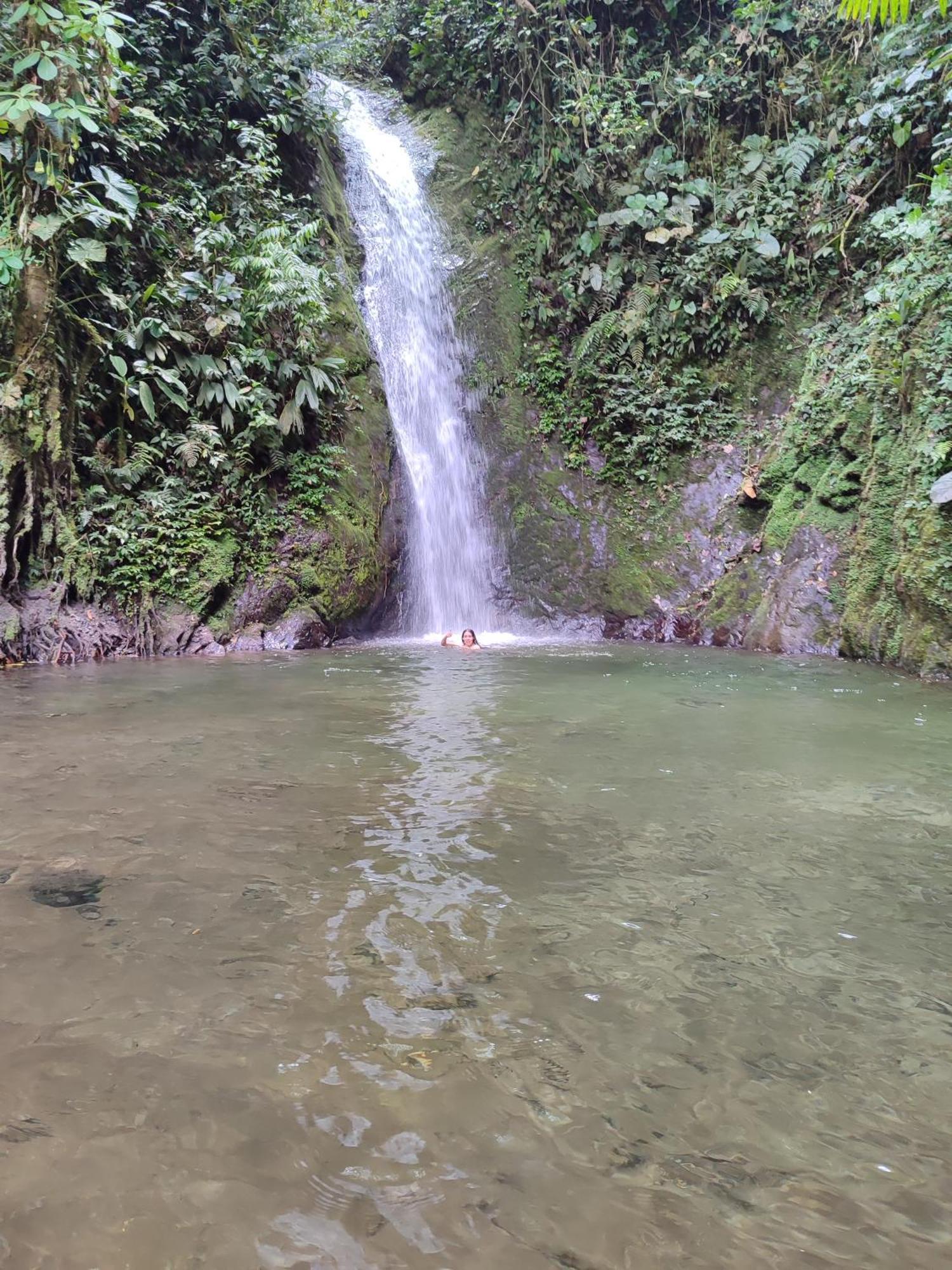 Mindo Garden Lodge And Wildlife Reserve Exterior foto