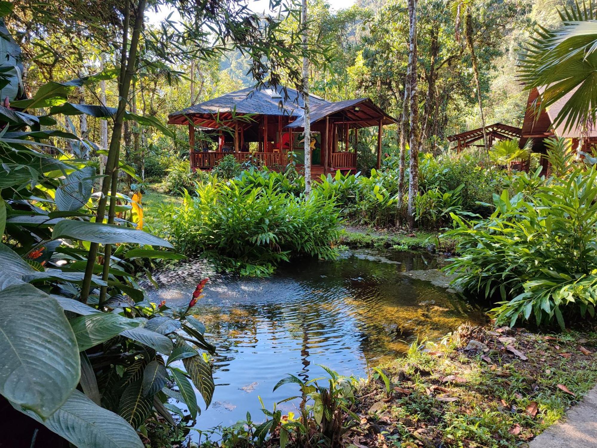 Mindo Garden Lodge And Wildlife Reserve Exterior foto