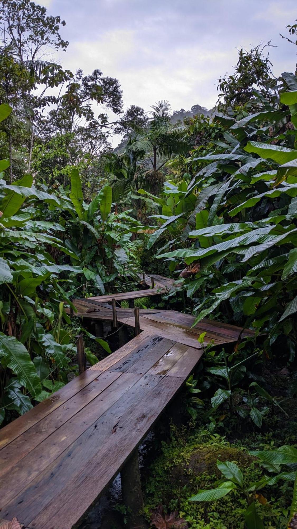 Mindo Garden Lodge And Wildlife Reserve Exterior foto