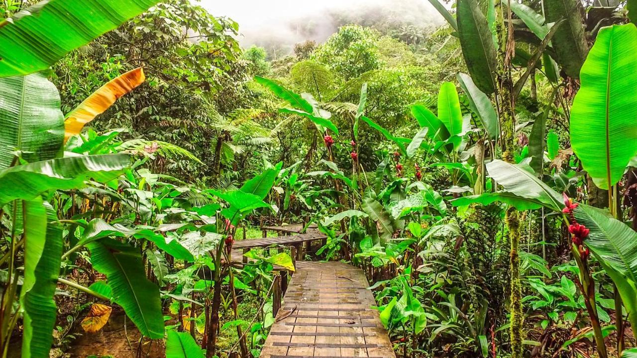 Mindo Garden Lodge And Wildlife Reserve Exterior foto